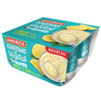 Dessert végétal au lait de coco Andros pas cher ( Valable partout ) 