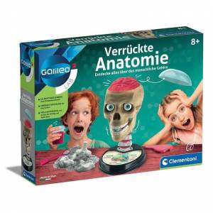 Jeu Éducatif Maquette Crâne Humain - Science et Biologie (Version Allemande) à 3.99 €