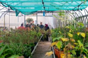 Distribution gratuite de plantes pour les habitants de Noisy-le-Sec (93) à 0 €