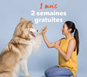 1 Mois de croquettes pour chien gratuite 