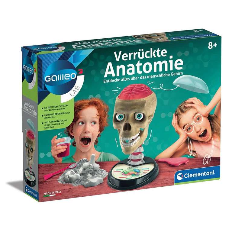 Jeu Éducatif Maquette Crâne Humain - Science et Biologie (Version Allemande) à 3.99 €