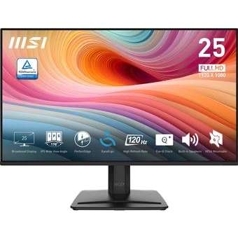 Ecran PC MSI Pro MP251 E2 25