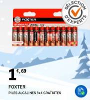 Lot de 12 piles alcalines Foxter AA ou AAA à 1.69 €
