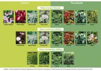 [Habitants] Distribution gratuite de haies - Port-Jérôme-sur-Seine (76) - pj2s.fr à 0 €