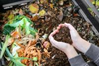 Distribution gratuite de compost - Cléry-Saint-André (45) à 0 €