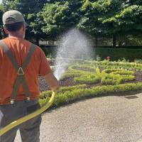 distribution gratuite de conifères du jardin du Cloître - Marmande (47) à 0 €