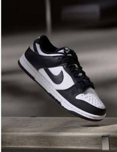 Chaussures Nike dunk low - taille 39 et de 42.5 à 49.5 à 59 €