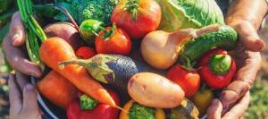 [Étudiants, Sur Réservation] Distribution gratuite de légumes frais par L'Université de Mont-de-Marsan (65) à 0 €