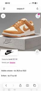Nike dunk edition à 54.99 €