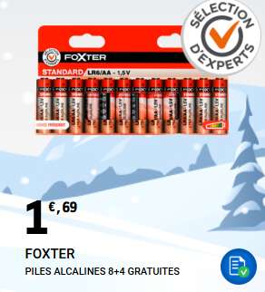 Lot de 12 piles alcalines Foxter AA ou AAA à 1.69 €