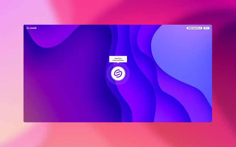 Smash Pro 2 ans (250 Go par transfert) à 115.2 €