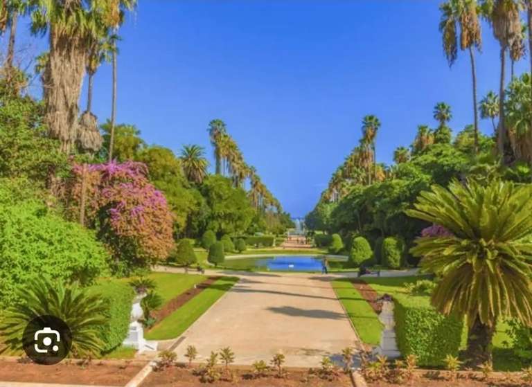 Vol Aller/Retour Marseille <<=>> Alger Algérie Du 12 Janvier au 30 Janvier à 80 €