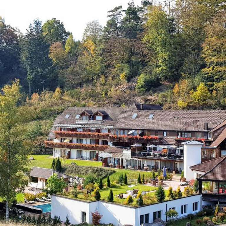 Séjour bien-être en Forêt-Noire (Allemagne) : 3J/2N au Käppelehof 4* | Chalet avec sauna privé + petit-déj livré + spa | 200€ / pers à 400 €