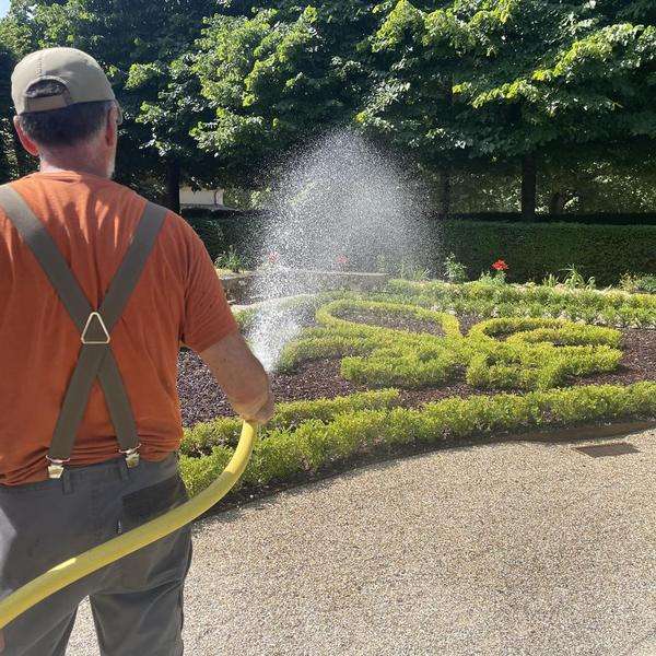distribution gratuite de conifères du jardin du Cloître - Marmande (47) à 0 €